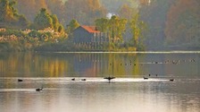 【城市遠洋帶圖】梁平：雙桂湖國家濕地公園候鳥翩躚至 湖畔百媚生