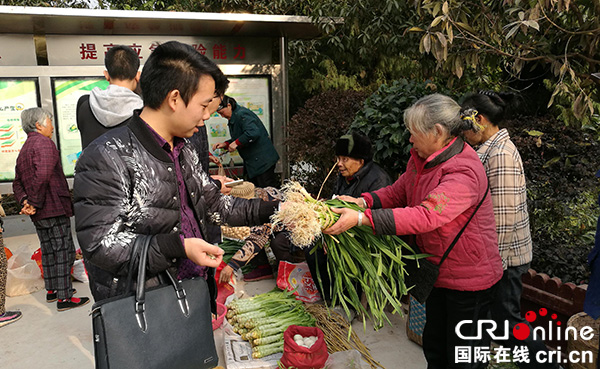 图片默认标题_fororder_市民到“扶贫小集市”买农家蔬菜-胡智-摄影