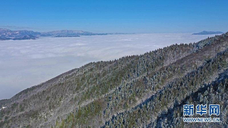 武陵山腹地邂逅云海雪原