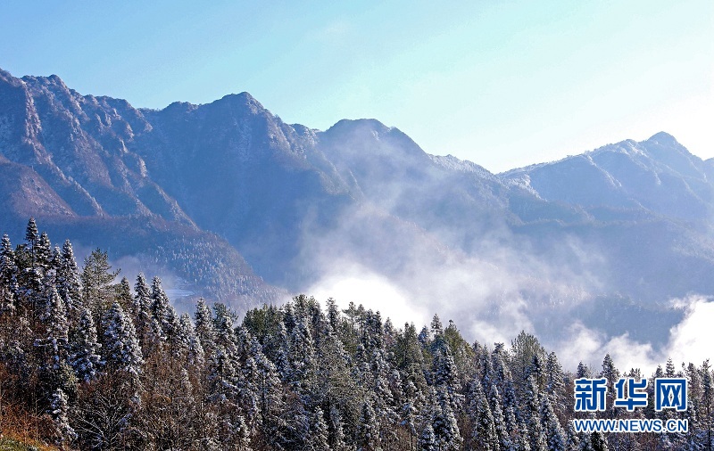 武陵山腹地邂逅云海雪原
