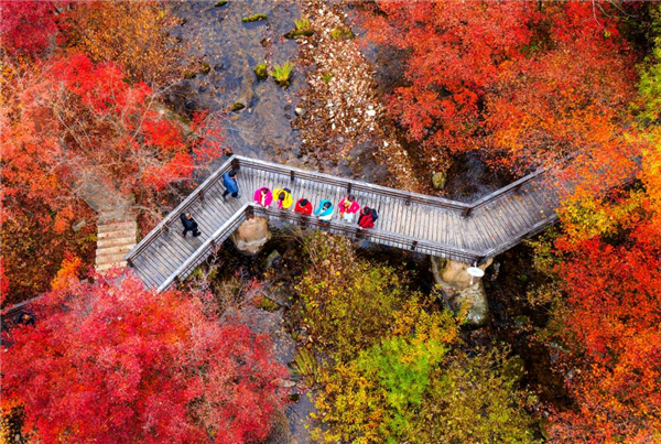 哪里的美景你最爱？ 沈阳都市旅游圈摄影大赛开始线上投票_fororder_摄影9