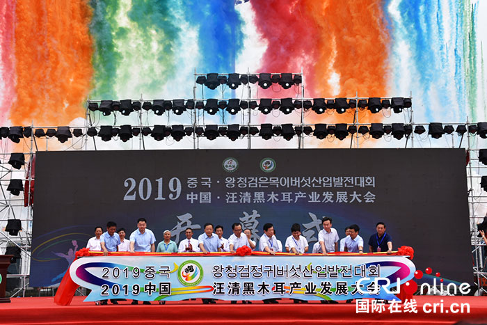 04【吉林】【原创】【CRI看吉林（标题）】2019中国·汪清黑木耳产业发展大会开幕