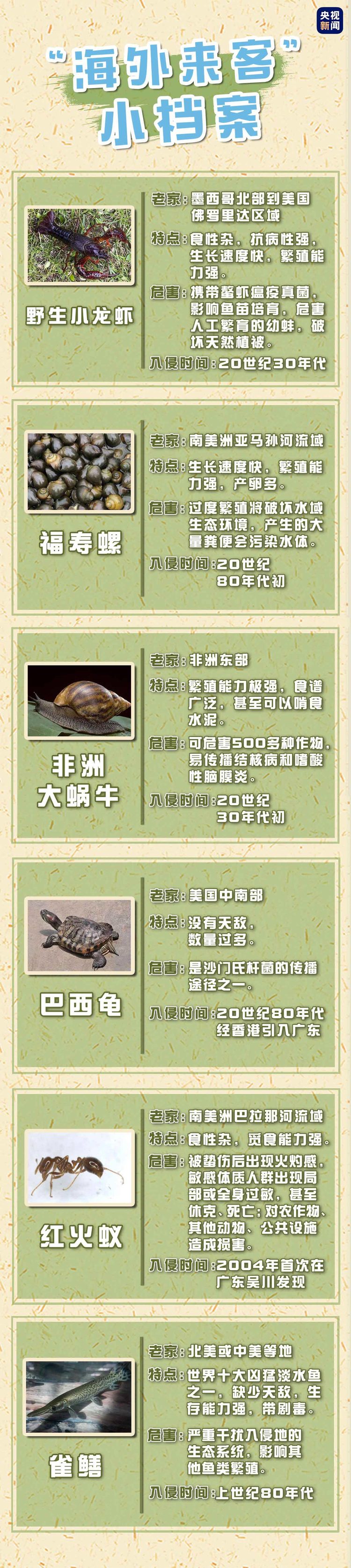 生态环境部更新外来入侵物种名单! 一起来涨点知识