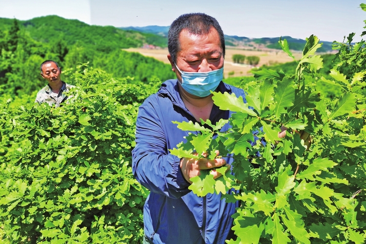 乡村振兴有“底气”产业兴旺