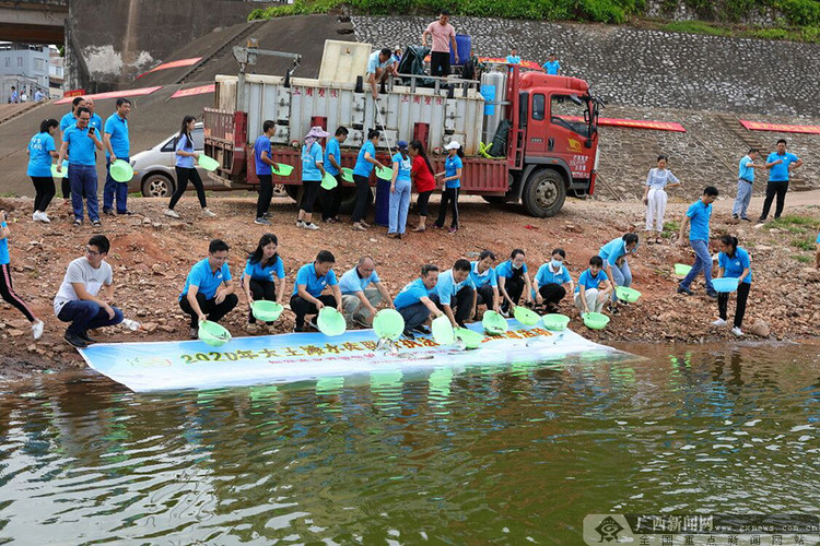 促生态修复 16万尾鱼种将投放南宁大王滩水库