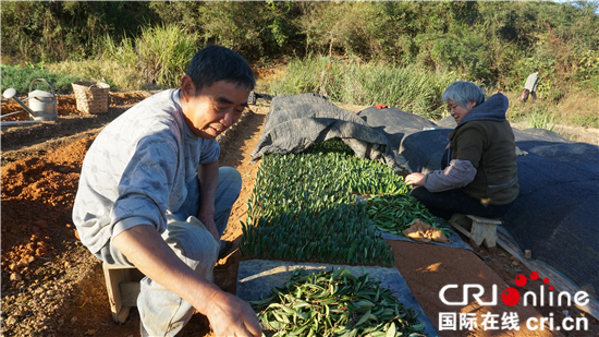 柴门霍夫年“茶与爱”国际微电影大赛获奖影片展映及读书活动走进武夷山