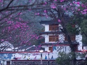 저장퉁루, 아름다운 향촌 건설의 “악장 연주”
