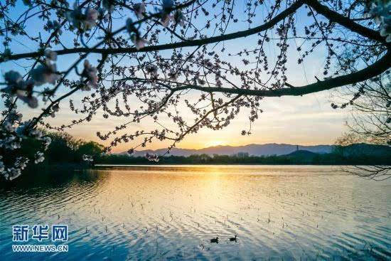 图片默认标题_fororder_0604b