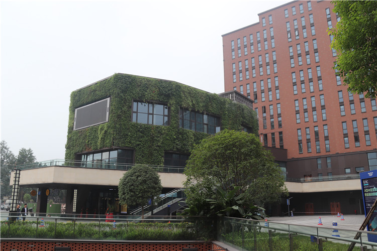 宣传部要求转发【聚焦重庆】九龙坡立体绿化渐成特色 打造5D城市生态空间
