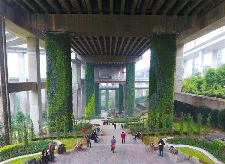 宣传部要求转发【聚焦重庆】九龙坡立体绿化渐成特色 打造5D城市生态空间