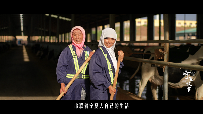 城市影像力“看鉴美丽新宁夏故事” 城市影像力“看鉴美丽新宁夏故事”