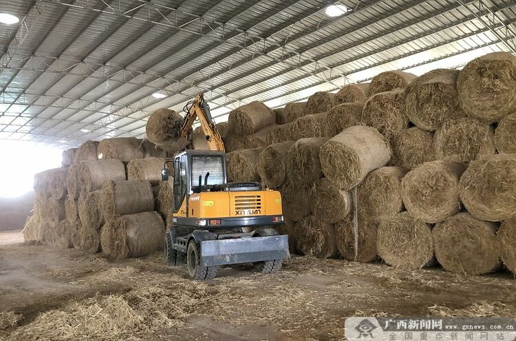 贵港市港北区：秸秆回收 经济又环保