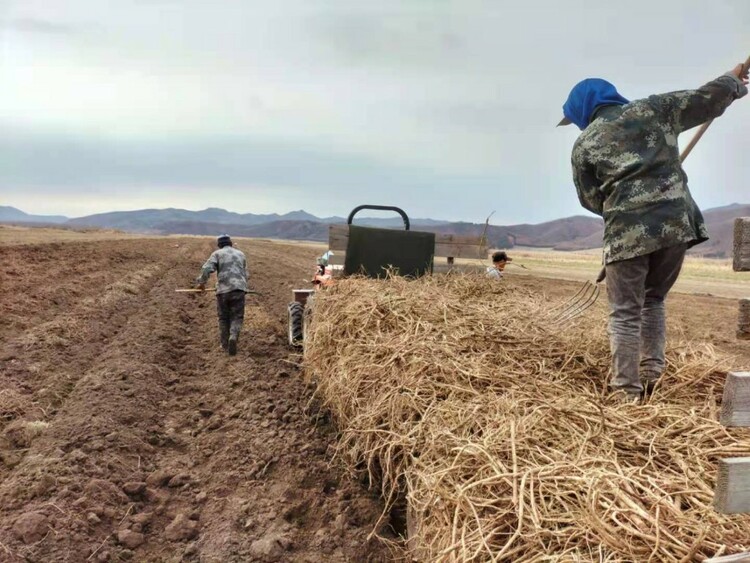 黑龙江省三地喜获第一批全国种植业“三品一标”基地