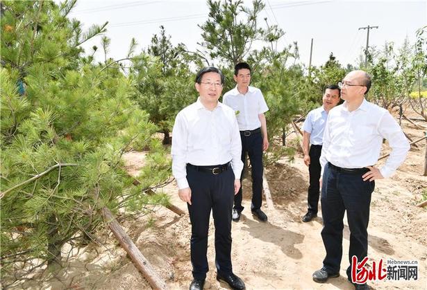 王东峰到雄安新区调研检查