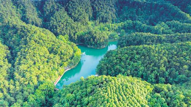 【城市远洋】【焦点图】【渝情渝景】重庆：生态整治 缙云焕颜