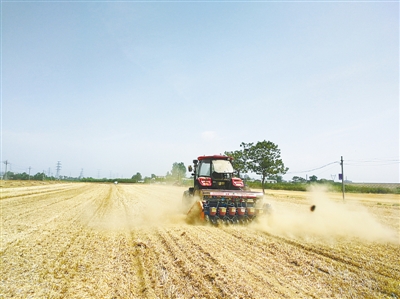 【要闻-文字列表】【河南在线-文字列表】 三夏进行时 郑州市小麦收获已过九成