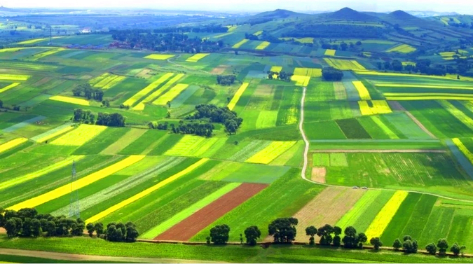 绿色 在黄土高原上铺展——黄河中游水土流失治理记 绿色 在黄土高原上铺展——黄河中游水土流失治理记_fororder_4