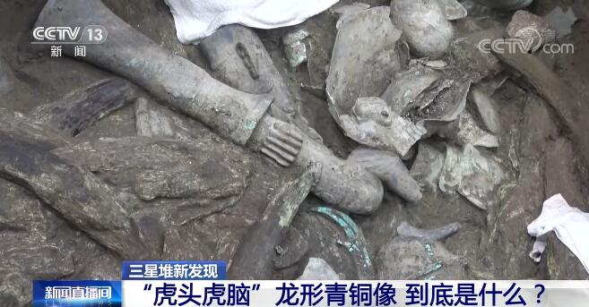 三星堆新发现 | “虎头虎脑”龙形青铜像到底是什么？