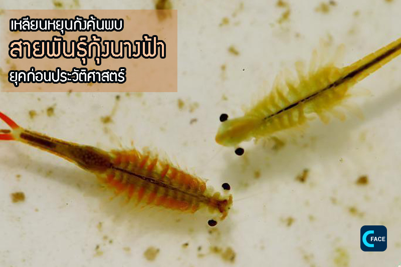 图片默认标题_fororder_06