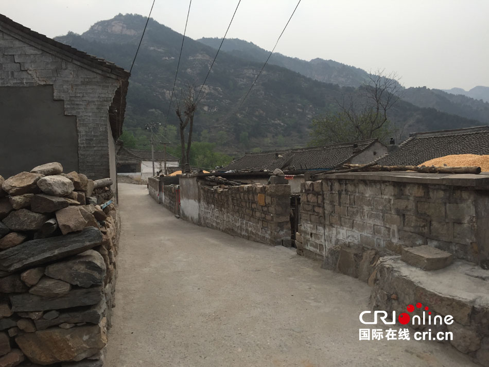 图片默认标题
