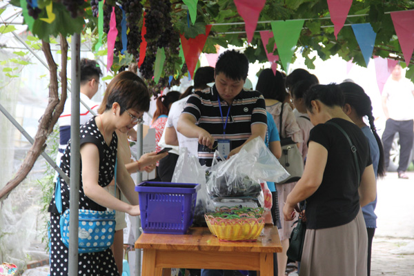 图片默认标题_fororder_游客在现场选购葡萄1（摄影-杨梦婧）