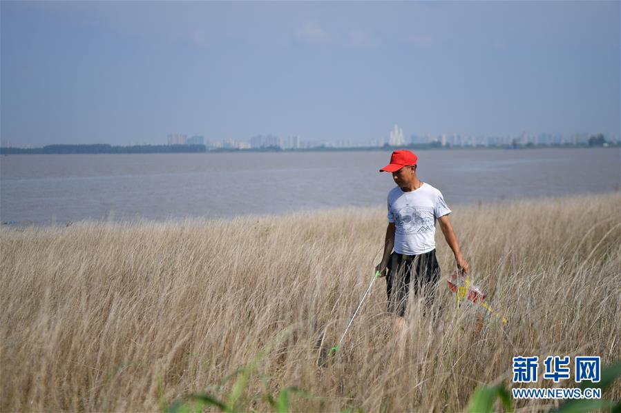 大湖新歌——中国两大淡水湖全面生态修复进行时