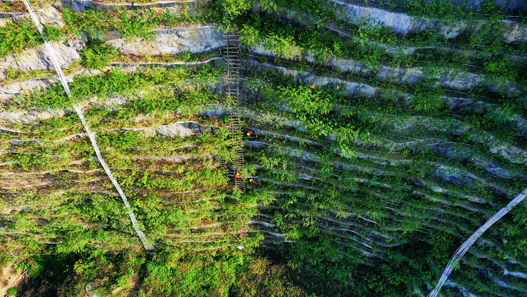 广西柳州：勇攀“天梯” 还“绿”于山