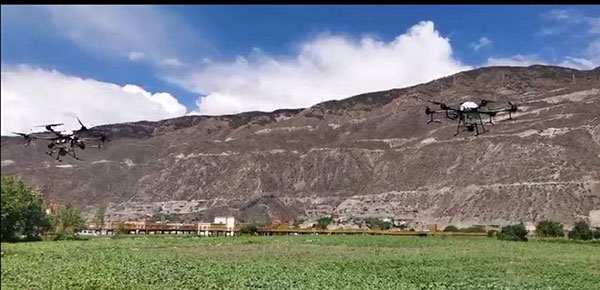 甘孜州巴塘县无人机助力农业生产 为粮食安全生产保驾护航
