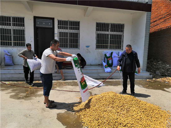 【B】河南省舞钢市:花生种植“生”出致富路