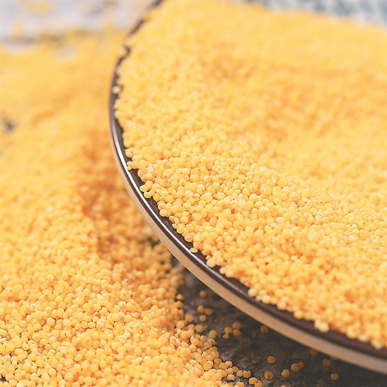 讷河:和盛乡种红谷小米 迎红火日子