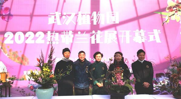 武汉植物园2022热带兰花展惊艳启幕
