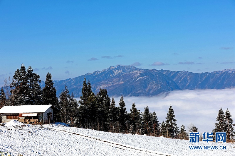 武陵山腹地邂逅云海雪原