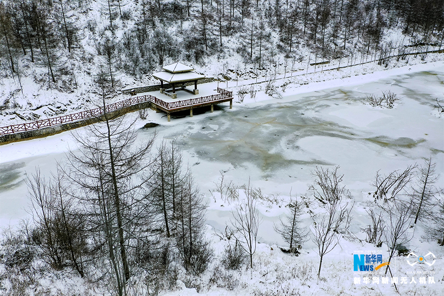 【城市远洋带图】重庆巫溪：冰雪奇缘秘境红池 这里的雪过分美丽