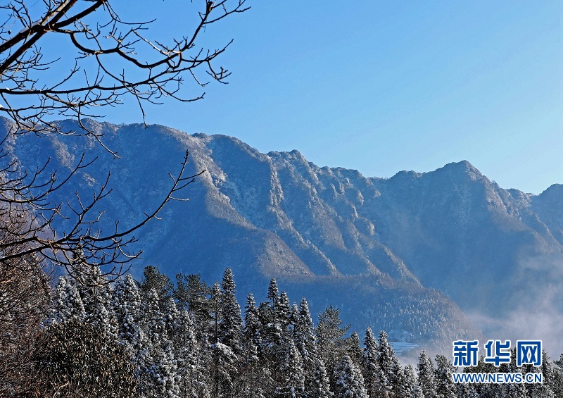 武陵山腹地邂逅云海雪原