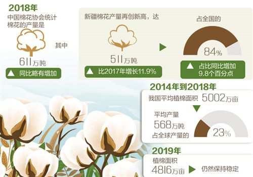 全球市场看好中国棉业
