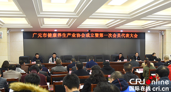 图片默认标题_fororder_康养协会会议现场(摄影--徐琴)