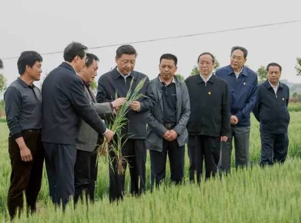 习近平为何选择到小岗村"重温改革"?