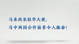 【国际微访谈】马来西亚驻华大使：马中两国合作前景令人振奋