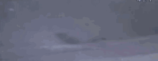507_198
