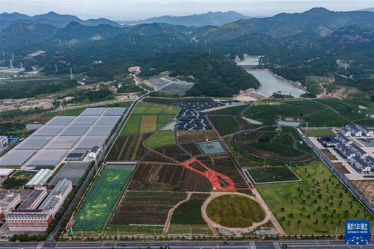 鲲鹏展翅九万里——以习近平同志为核心的党中央引领中华民族迈向伟大复兴述评
