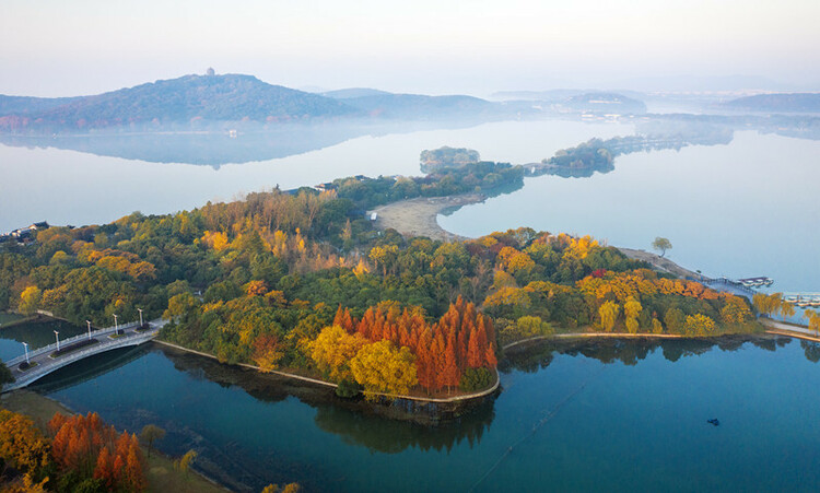 无锡滨湖:览湖光旖旎 赏绝色生香