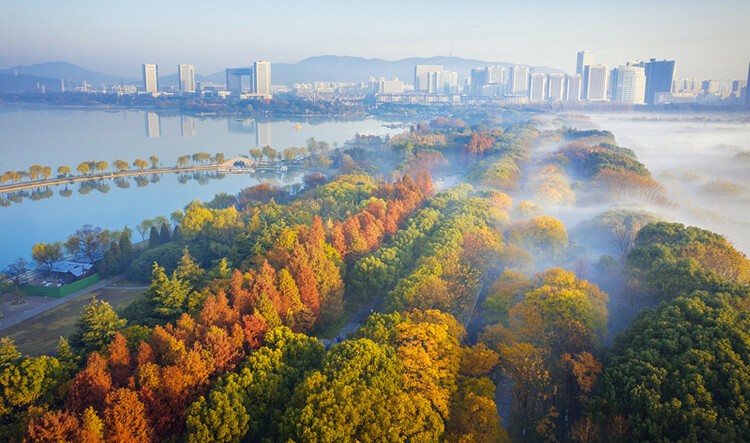 无锡滨湖:览湖光旖旎 赏绝色生香