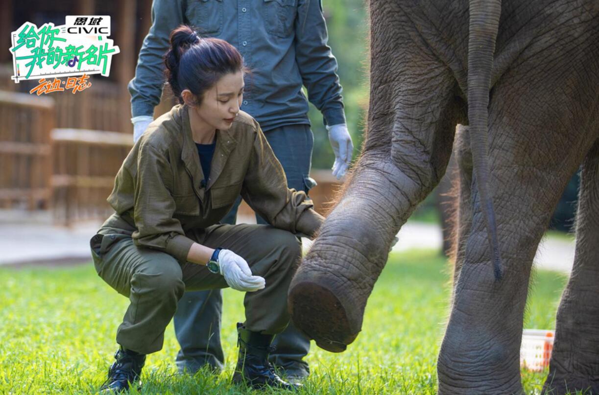 抖音出品《给你，我的新名片》李冰冰季第三期上线，为大象体检感受人象共存的日常