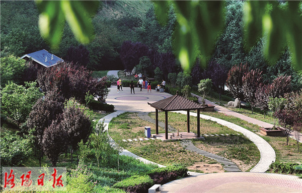 洛阳同乐桥游园：绿植环绕 市民享受凉爽和惬意