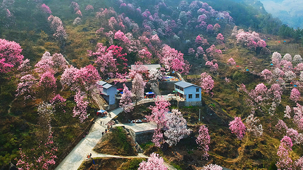 绵阳:大力发展旅游 北川喜换新颜