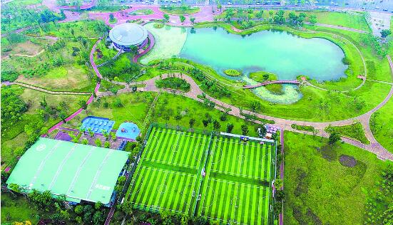 （转载）骑行跑步、工作商谈、踢球划船…成都绿道故事全新上演