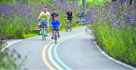 （转载）骑行跑步、工作商谈、踢球划船…成都绿道故事全新上演