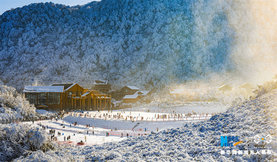 【城市远洋带图】瑞雪开启新年 重庆金佛山变身“南国雪原”