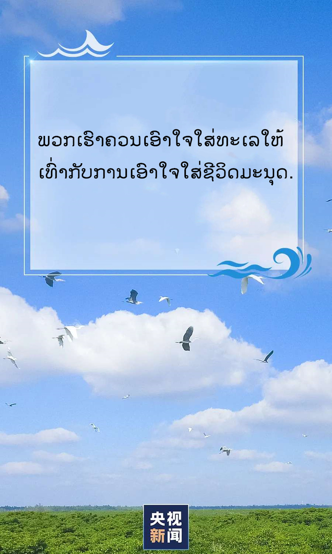 图片默认标题_fororder_海洋5_副本