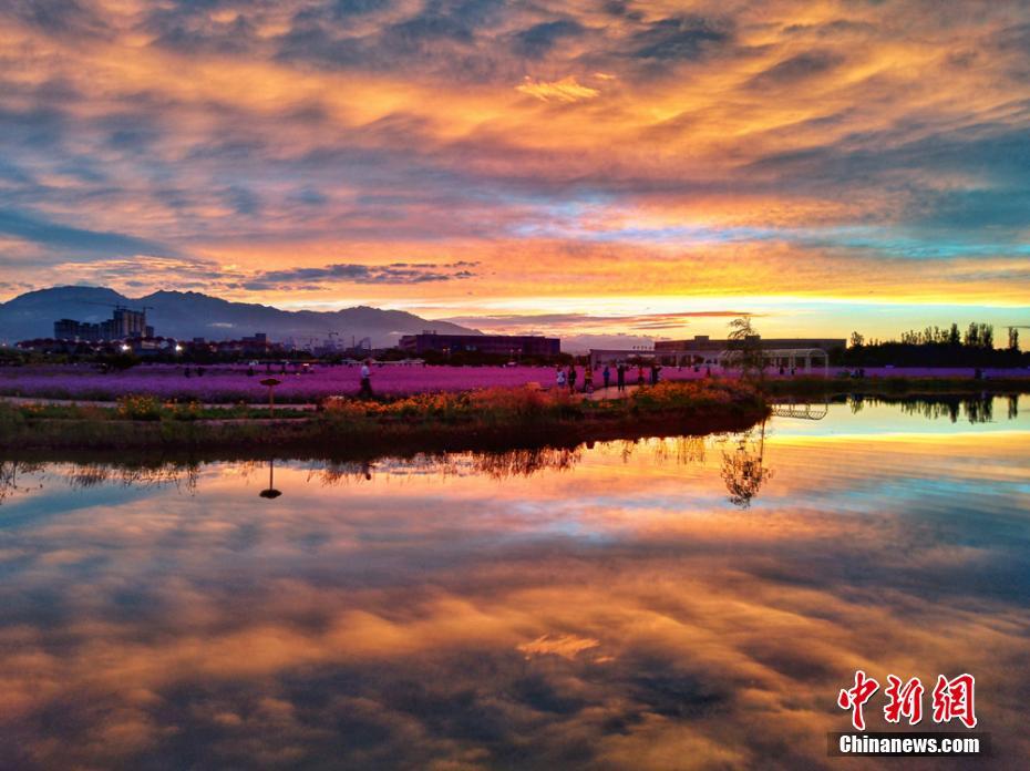 图片默认标题_fororder_甘肃3